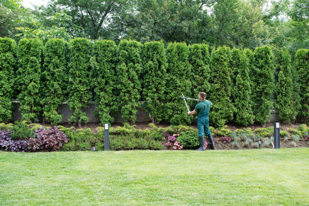 Lawn Pest Prevention in Whidbey Island Station, WA